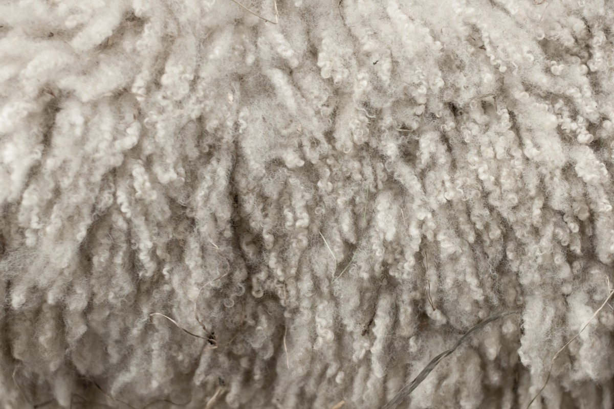 Tallyho Superfine Merino Wool